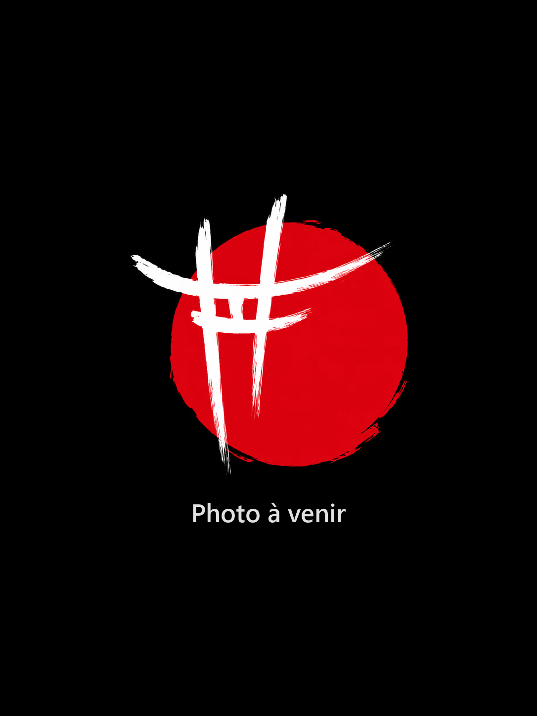 Photo du plat à venir, logo Zen Garden