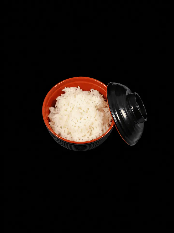 A3 - Riz vinaigré