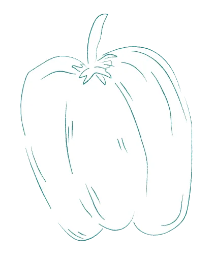 Simple line drawing of a bell pepper with a stem.