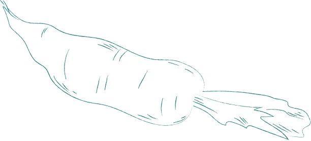 Outline drawing of a carrot with leaves attached.