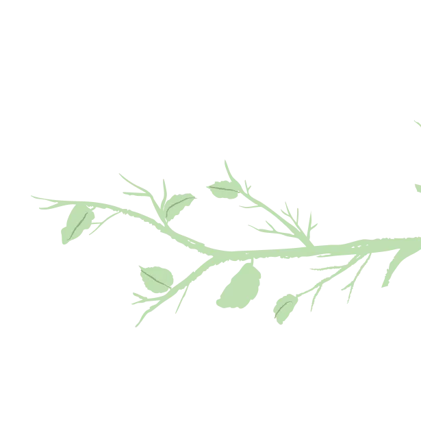 Light green branch with several small leaves on a transparent background.