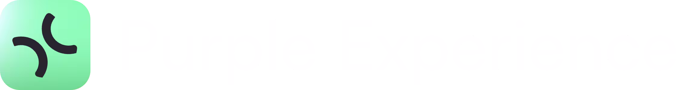 Logo mit stilisiertem Symbol links und Text 'Purple Experience' rechts.