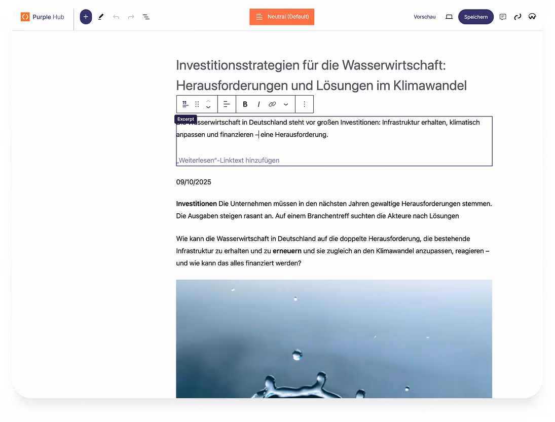 Webseite mit Artikel über Investitionsstrategien für die Wasserwirtschaft im Klimawandel auf Deutsch.
