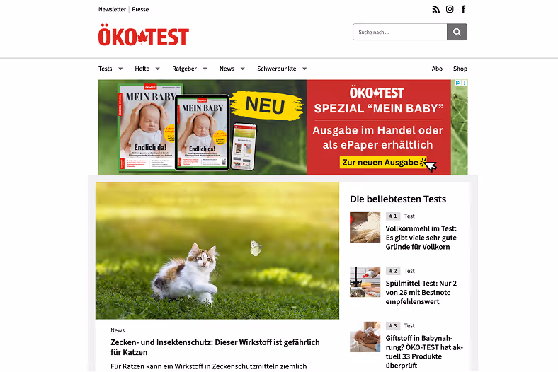 Kätzchen im Gras beobachtet einen weißen Schmetterling an sonnigem Tag.