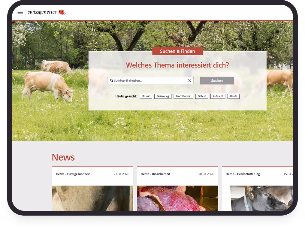 Webseite mit Kühen auf Wiese und Suchfunktion zu landwirtschaftlichen Themen wie Herde und Besamung.