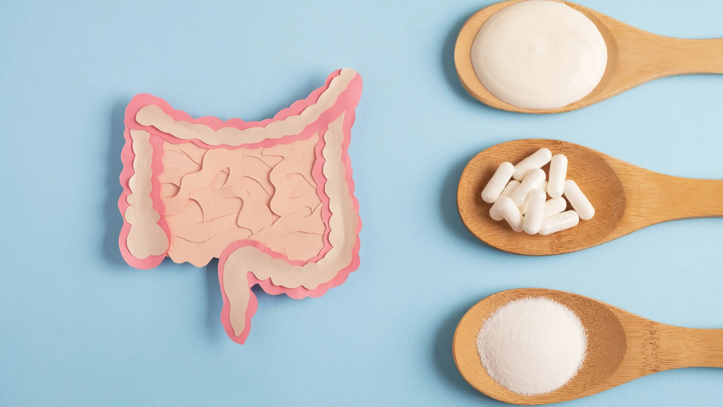 probiotics in spoons next to cartoon intestine