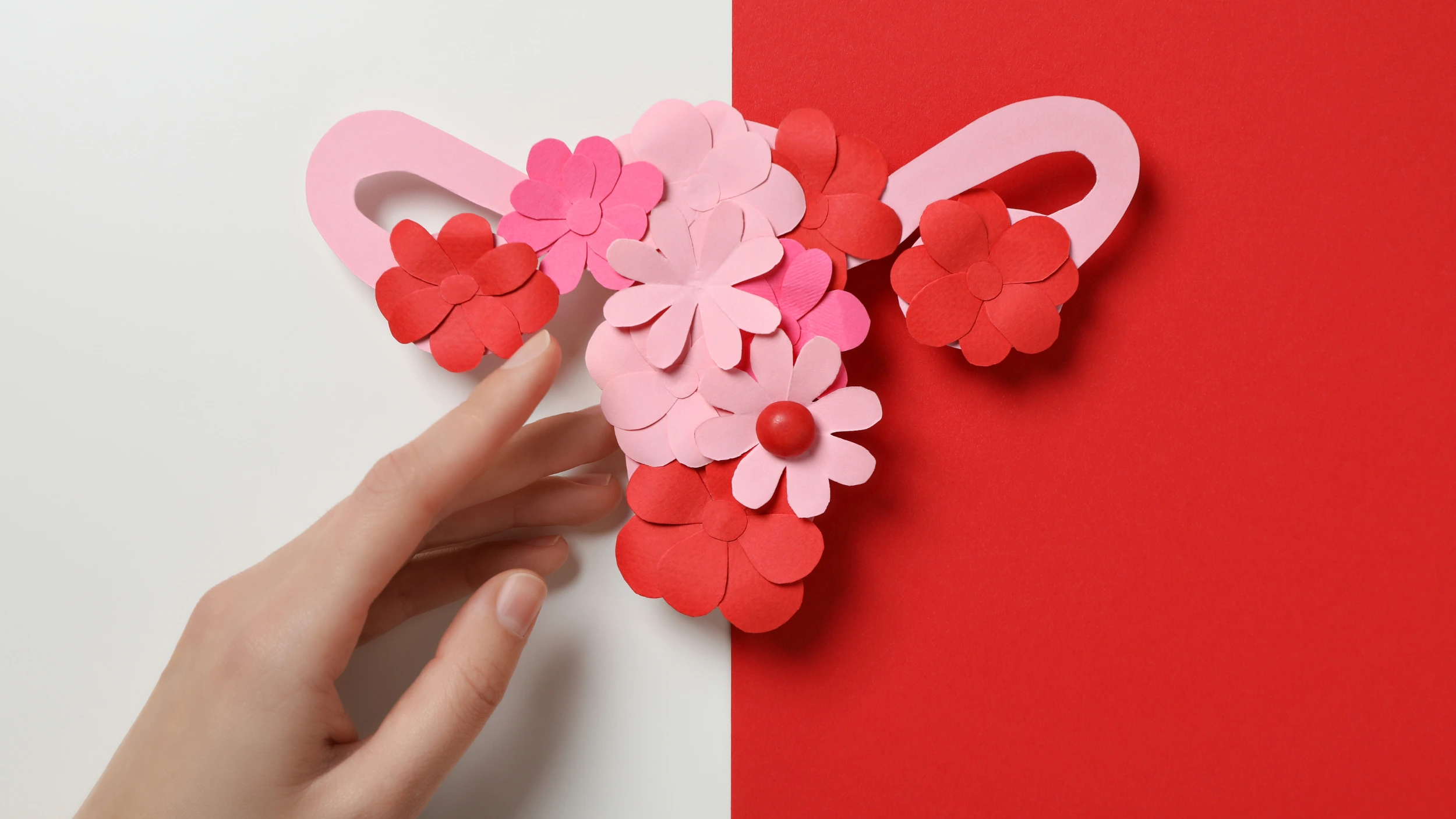 A top-down view of a hand reaching toward a paper craft representation of the female reproductive system, made entirely of pink and red paper flowers and centered on a split white and red background.