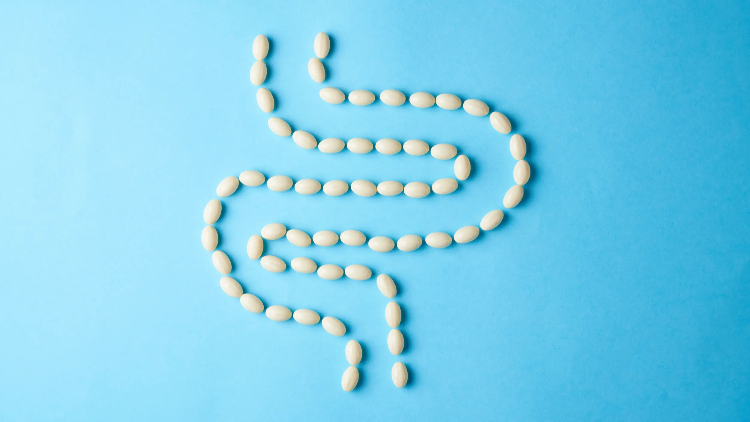 An image of white, oval-shaped vitamin capsules or pills arranged in the shape of the human digestive tract and intestines, laid flat against a solid bright blue background.