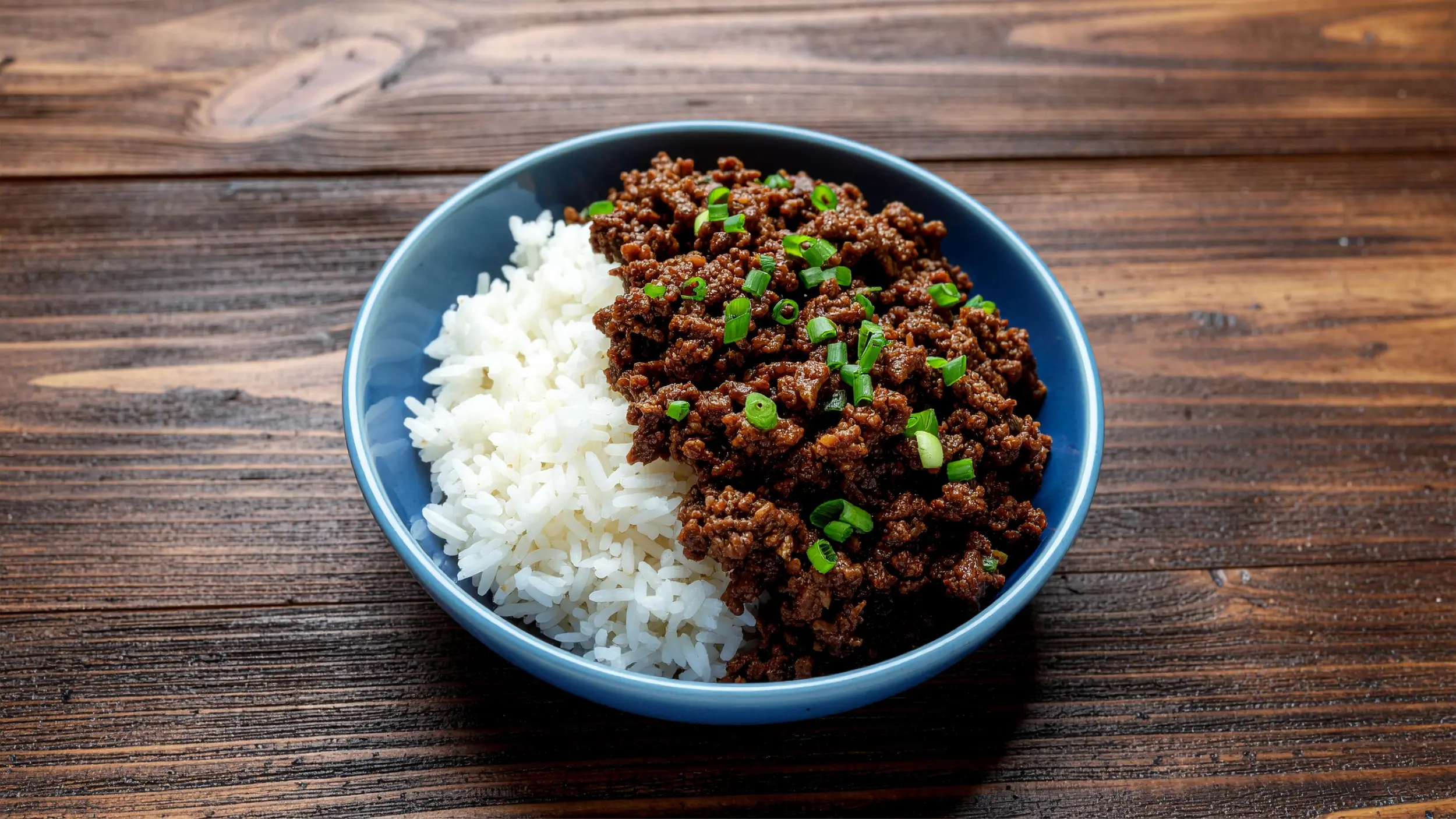 Bowl of boy kibble - ground beef and rice