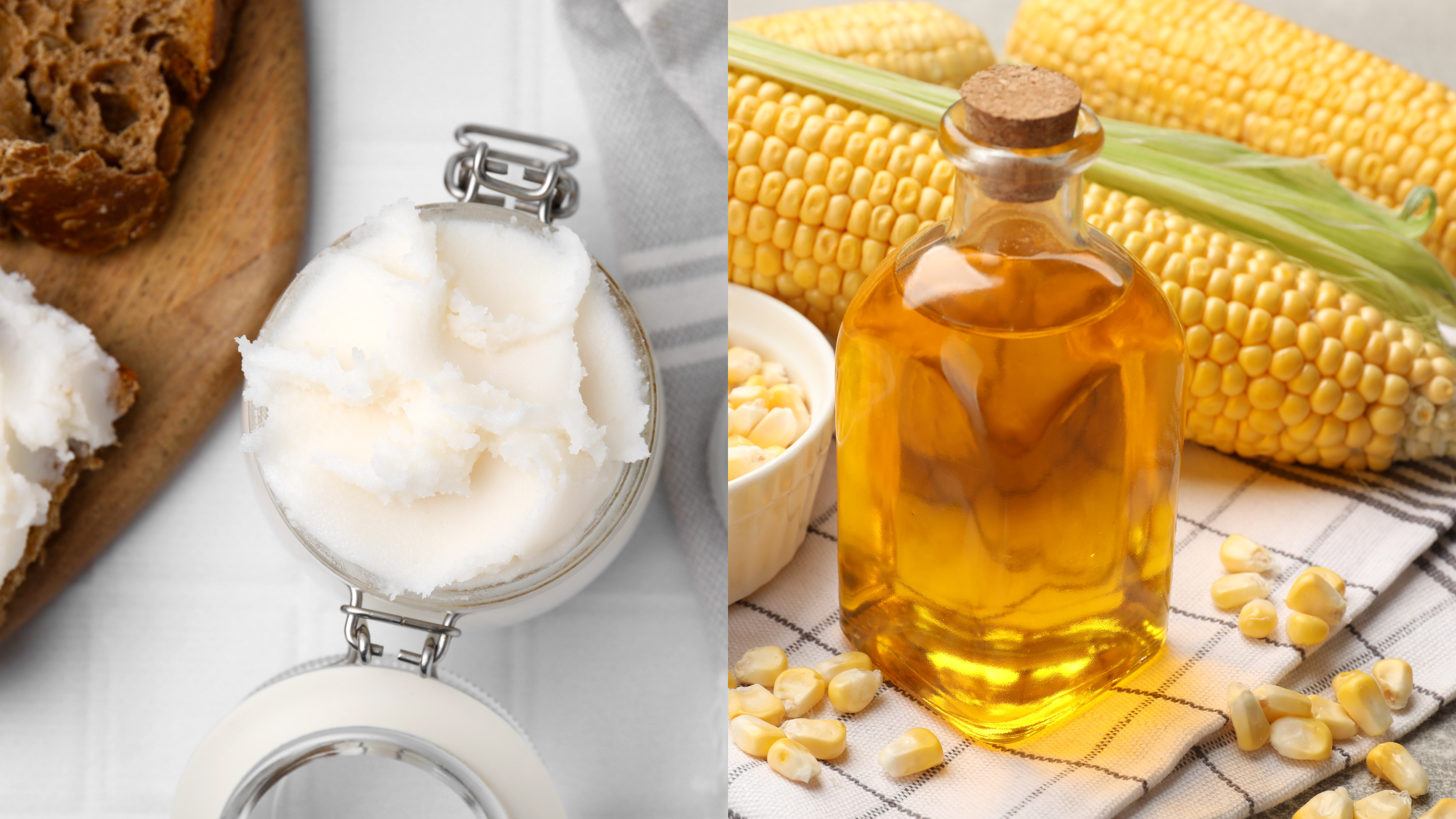 Seed oils vs tallow split