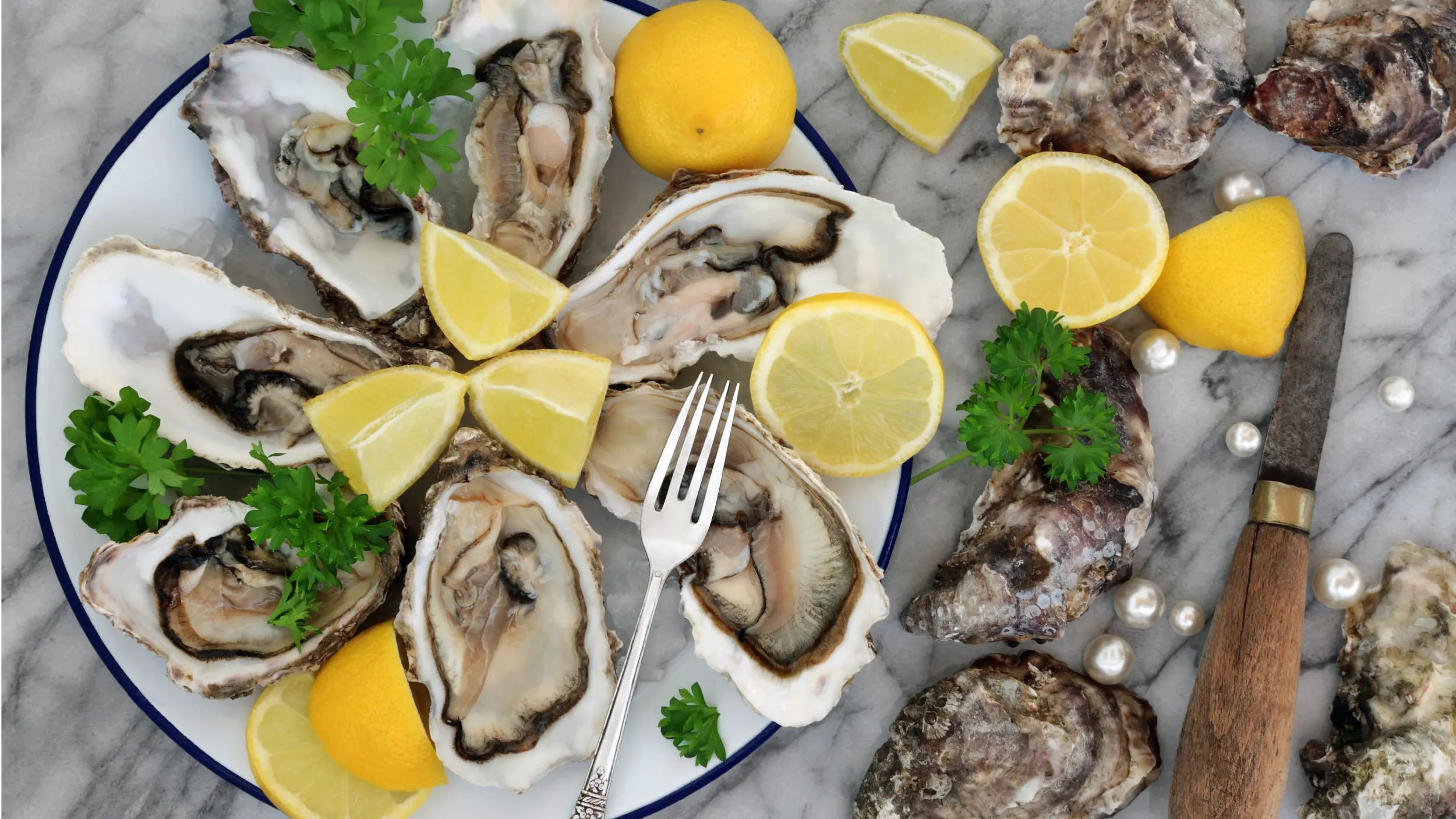 plate of oysters to improve libido