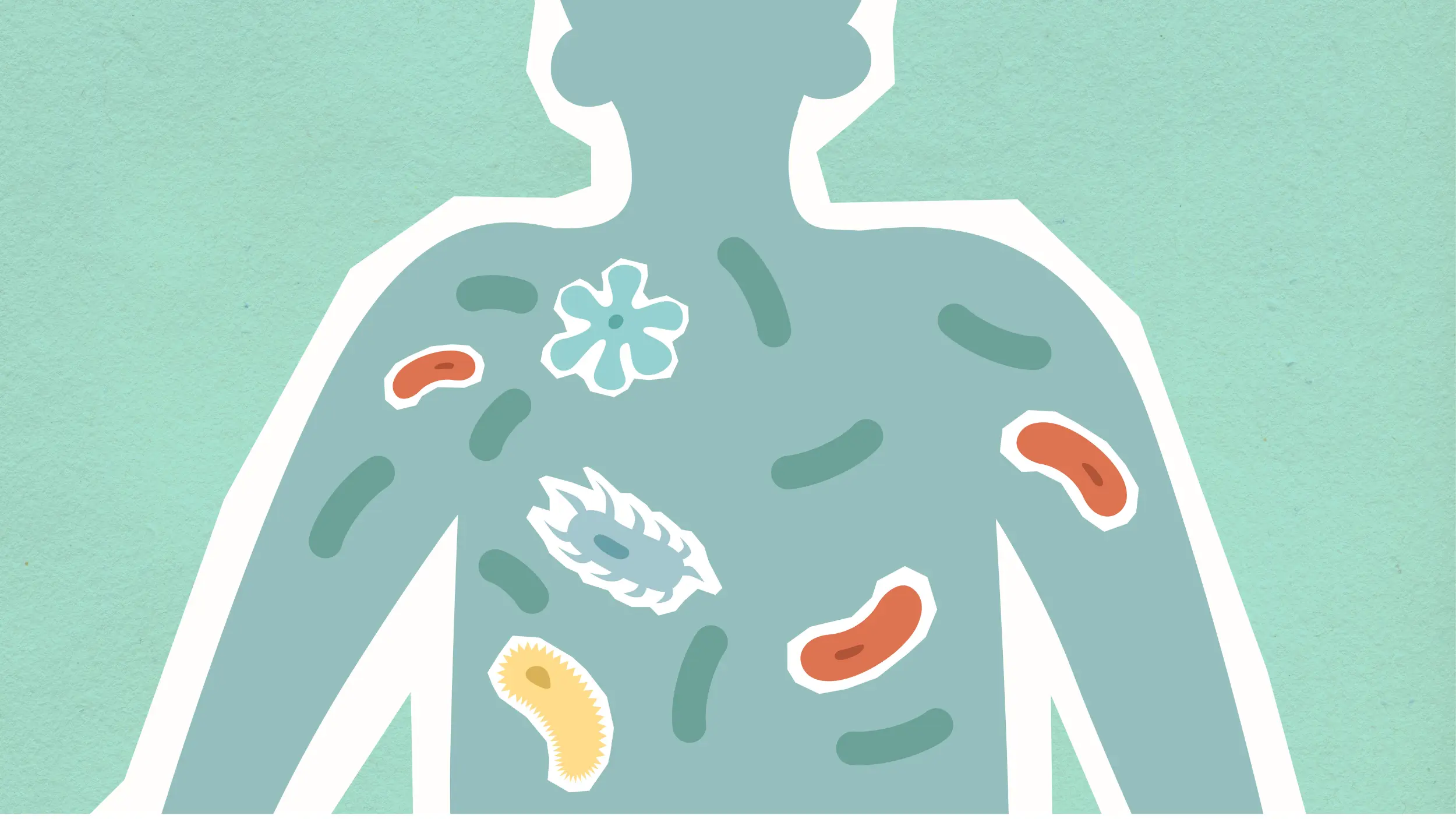 cartoon of human with gut microbes