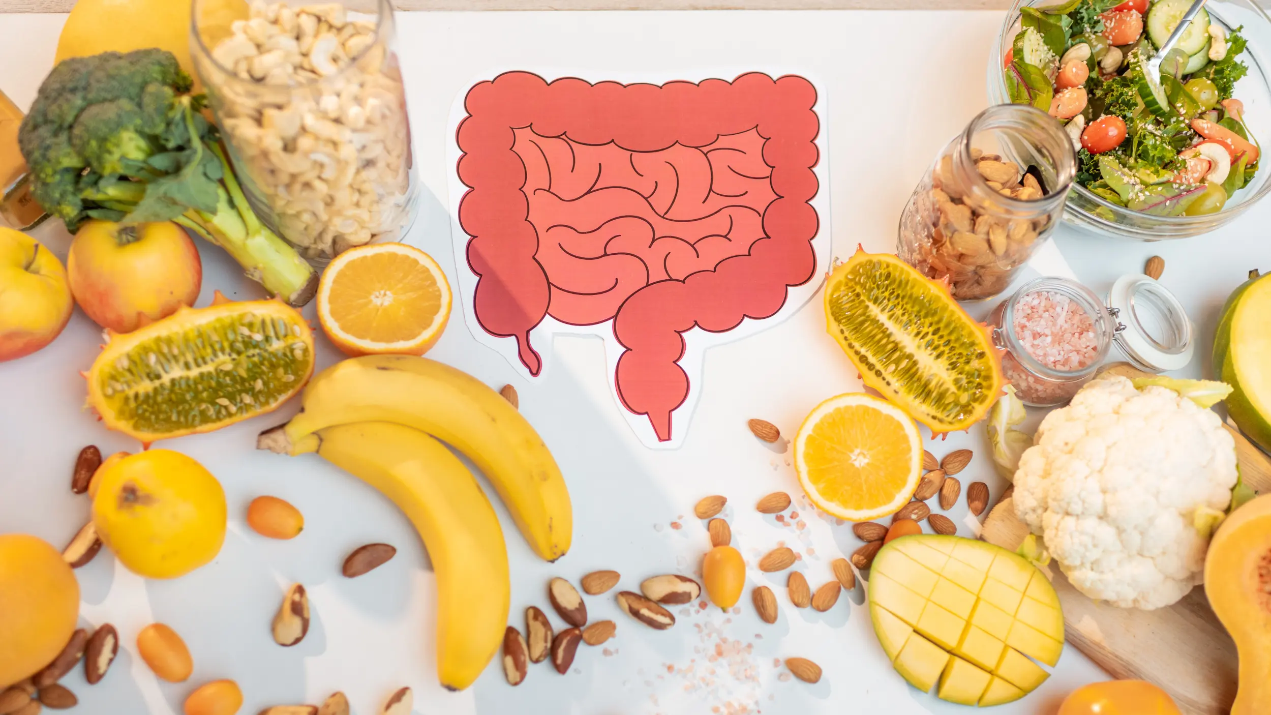 Gut healthy foods for weight loss