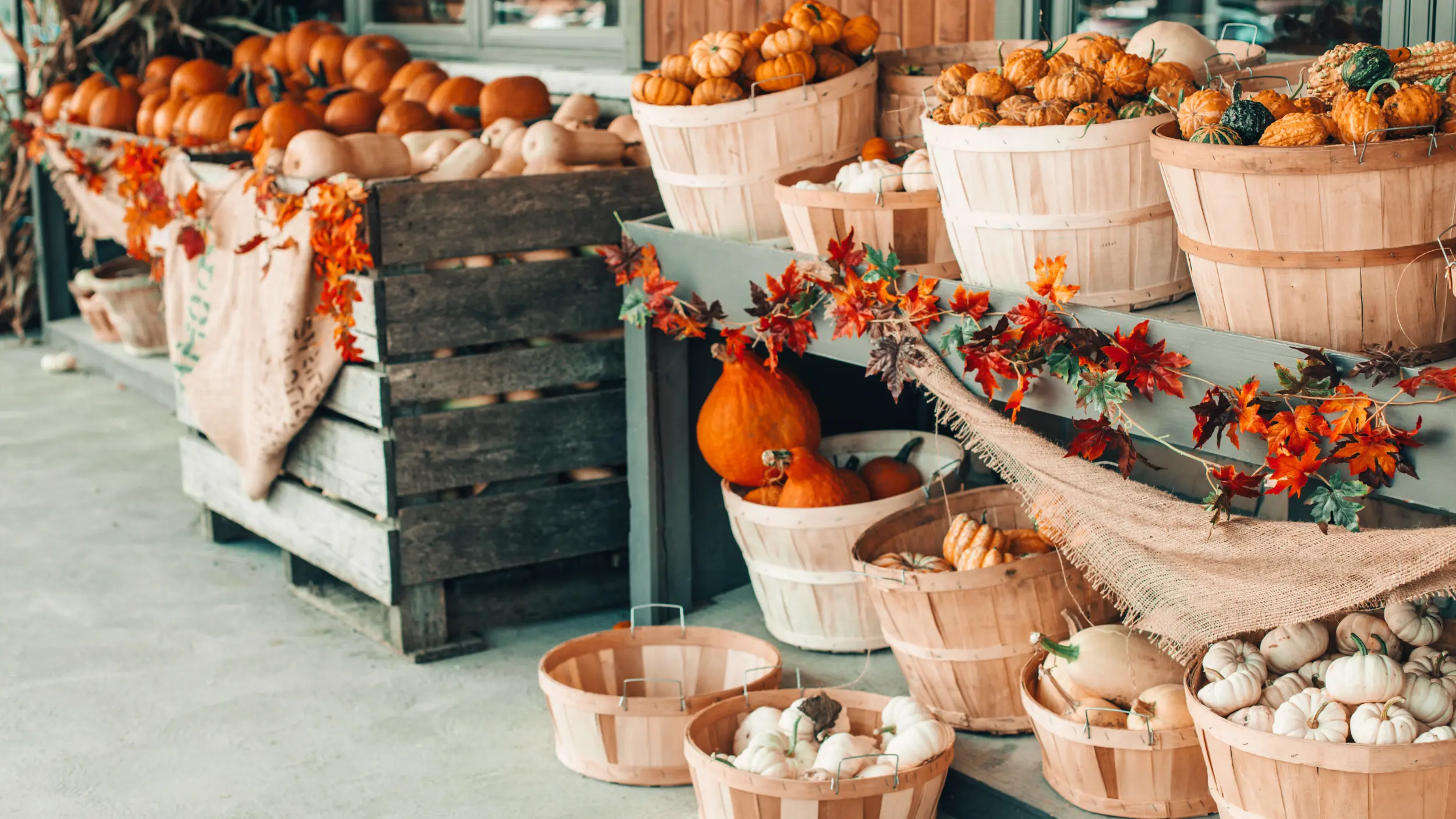 fall harvest