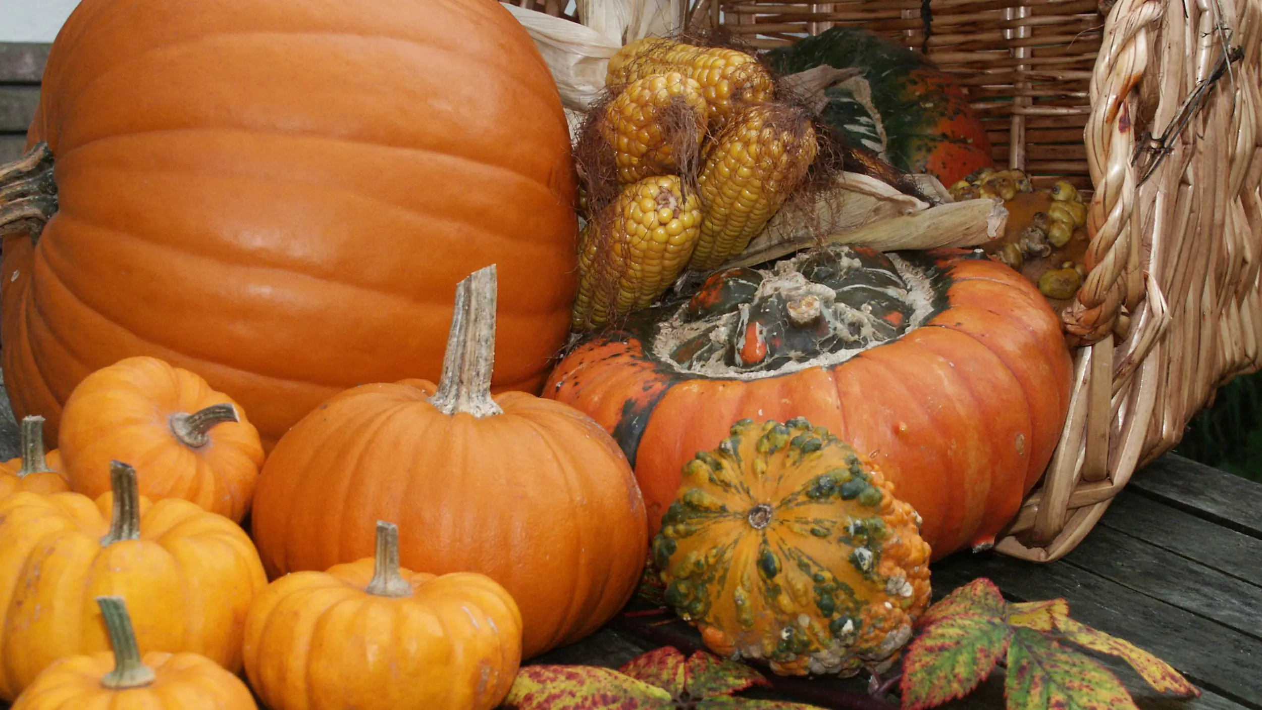 Pumpkin
