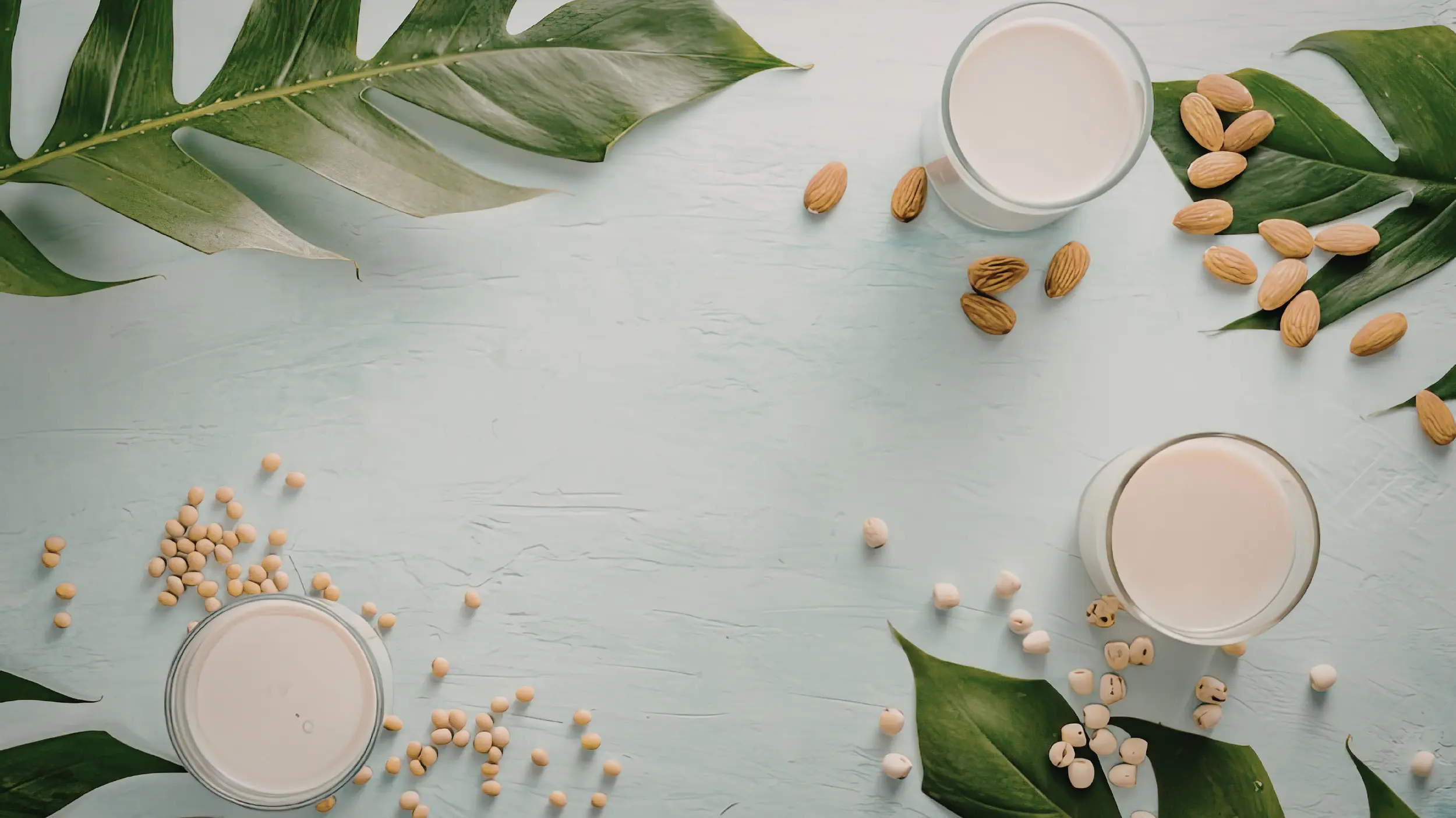 dairy alternatives recommended by an RD