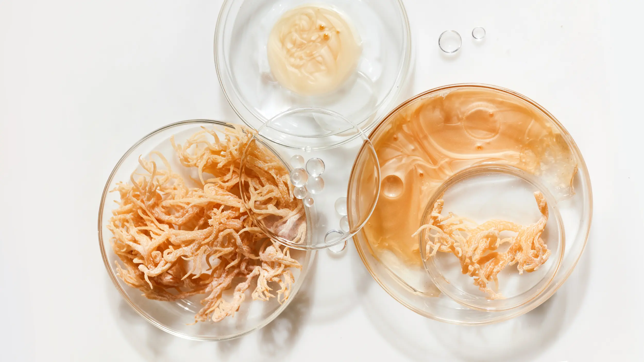 Sea moss