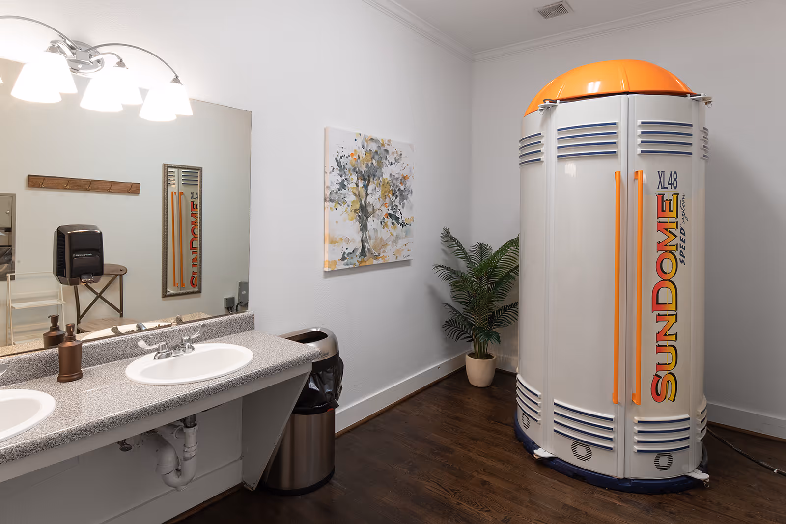 Bathroom with vanity and tanning booth