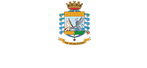 Guardia di Finanza Logo