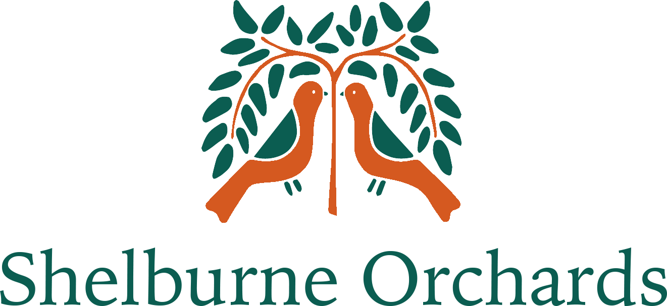 shelburne orchards