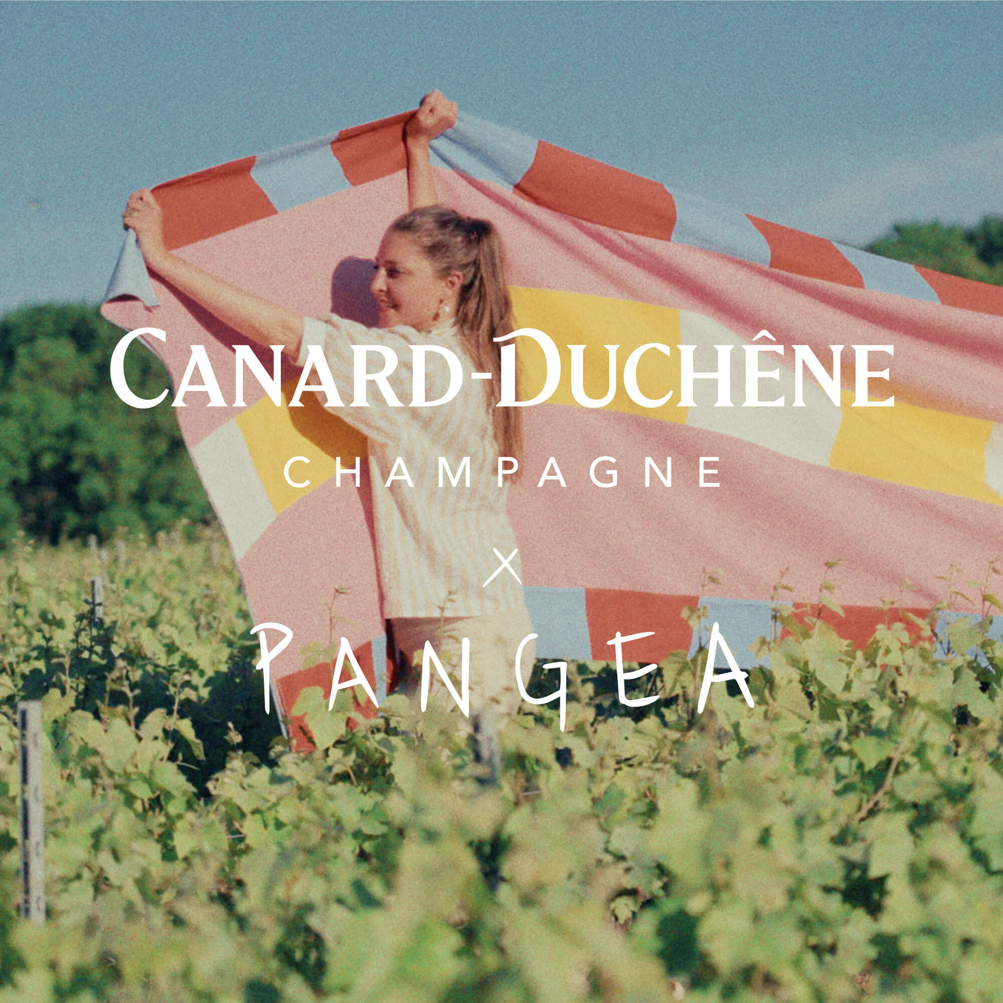 CANARD-DUCHÊNE PANGEA 2025