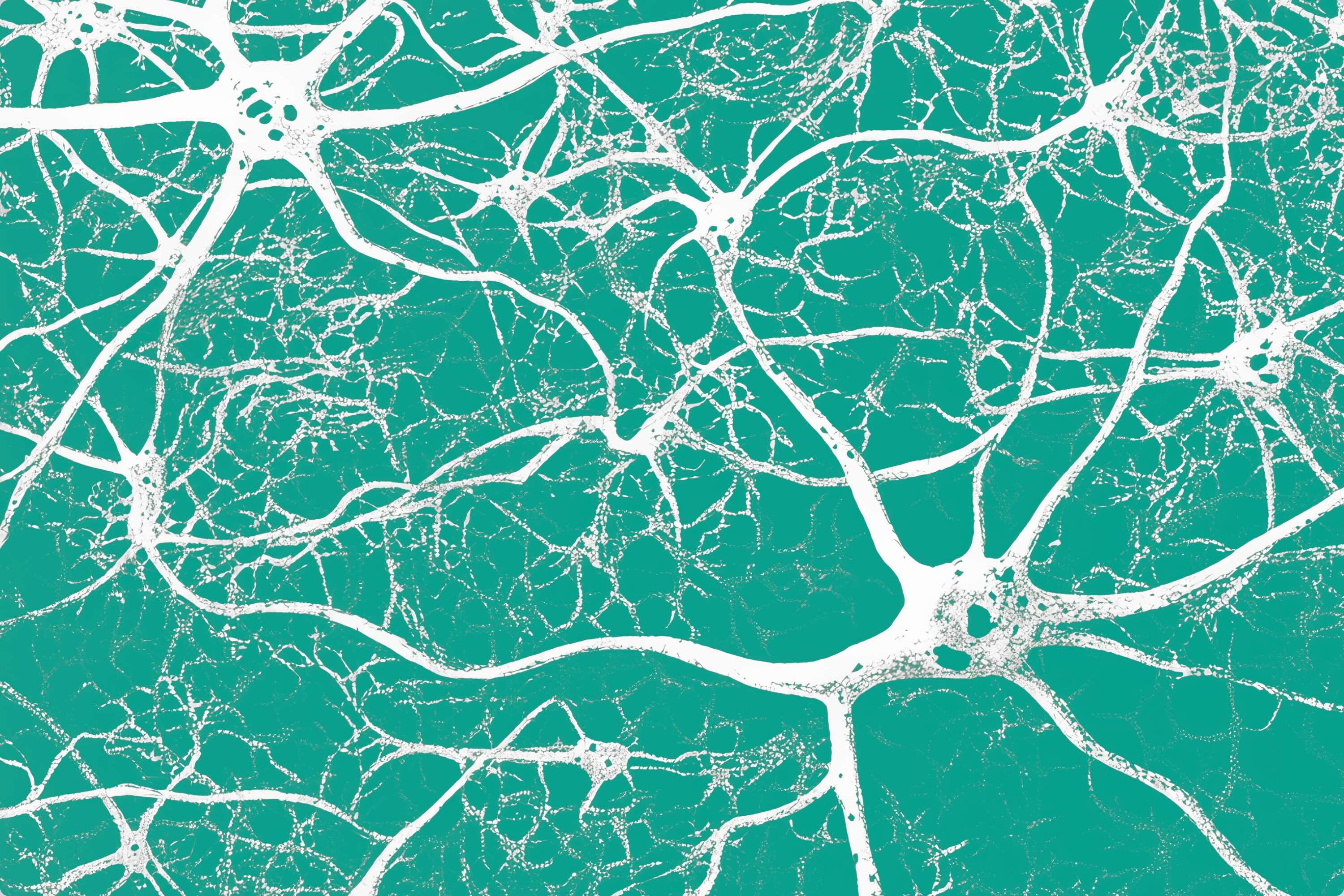 Patrón abstracto de líneas blancas entrelazadas sobre fondo verde turquesa