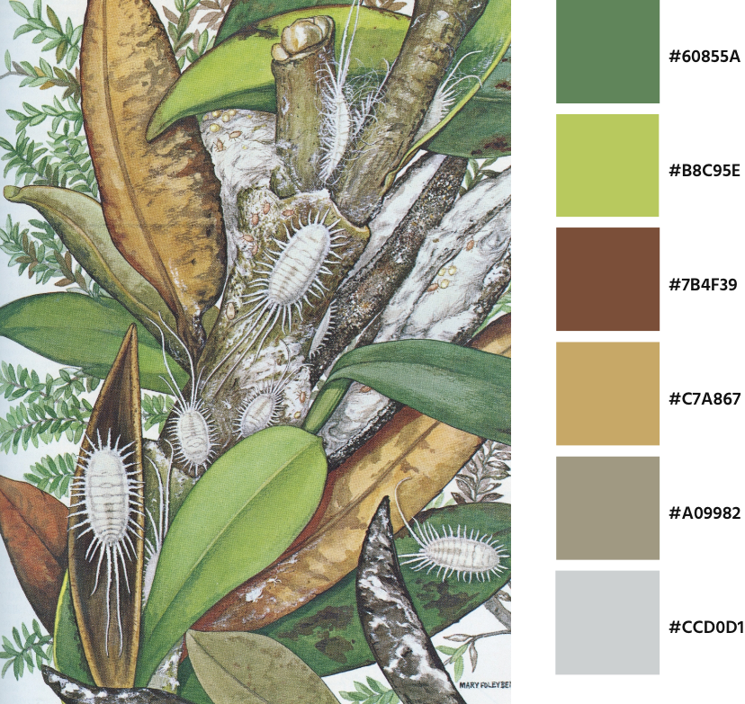Ilustraciones de cochinillas en "Cochinillas de California," de Mary Foley Benson del año 1967 con su paleta de colores.