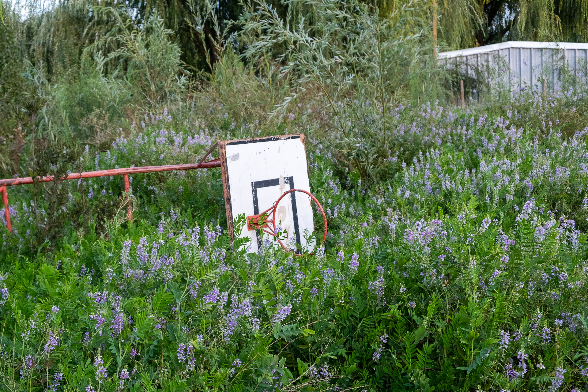 Vemos un globo inflable de un monstruo rosado pegado en el techo de un galpón.