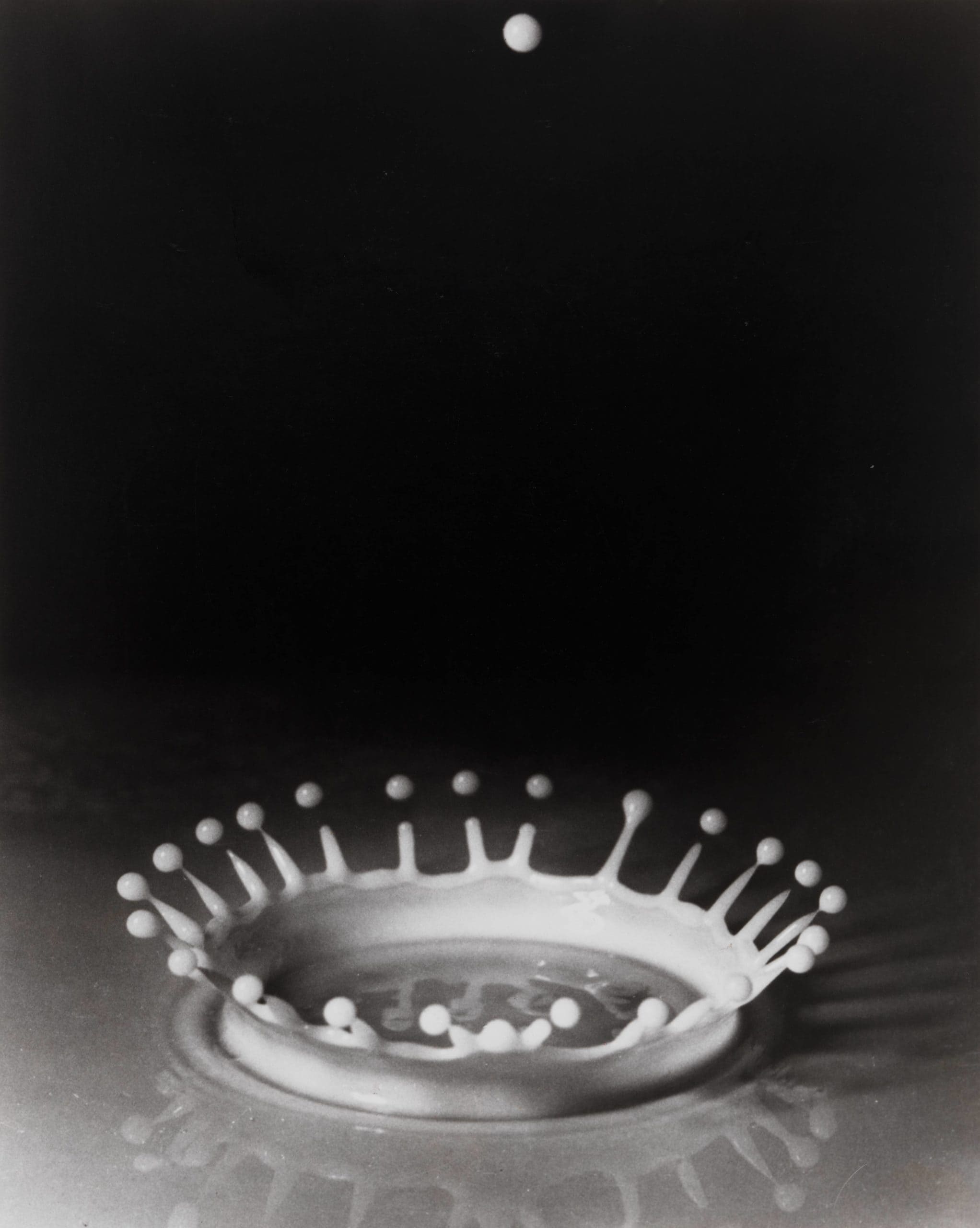 Fotografía del impacto de gota de leche formando una corona, ejemplo icónico de divulgación científica visual, tomada por Harold E. Edgerton.