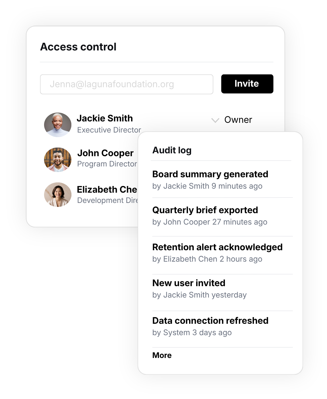 Access controls and activity tracking showing how Donorlytics manages user permissions and monitors organizational actions