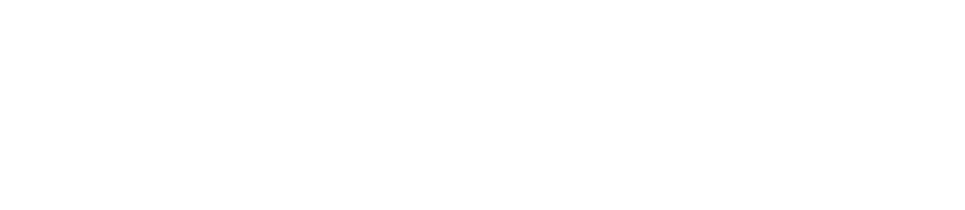 POW GLOBE