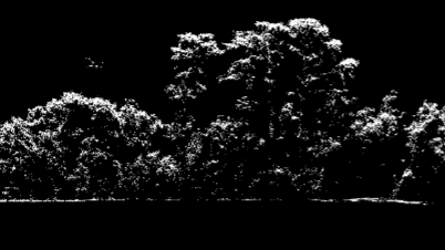 High-density UAV lidar point cloud cross-section penetrating dense tree canopy and brush to map the continuous bare-Earth ground terrain.
