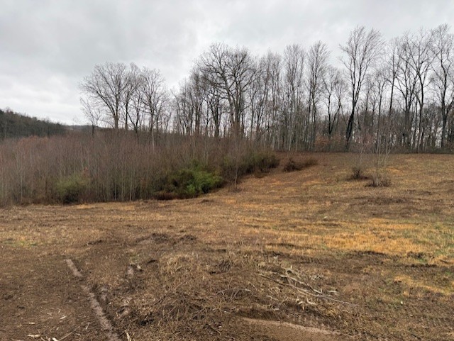 image of roof being repaired
