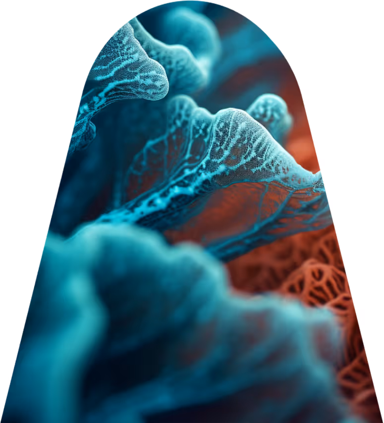 Close-up of sea coral in shades of blue and red highlighting its wavy and detailed texture.