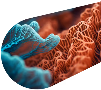Close-up of marine coral with detailed structures in shades of blue and orange.