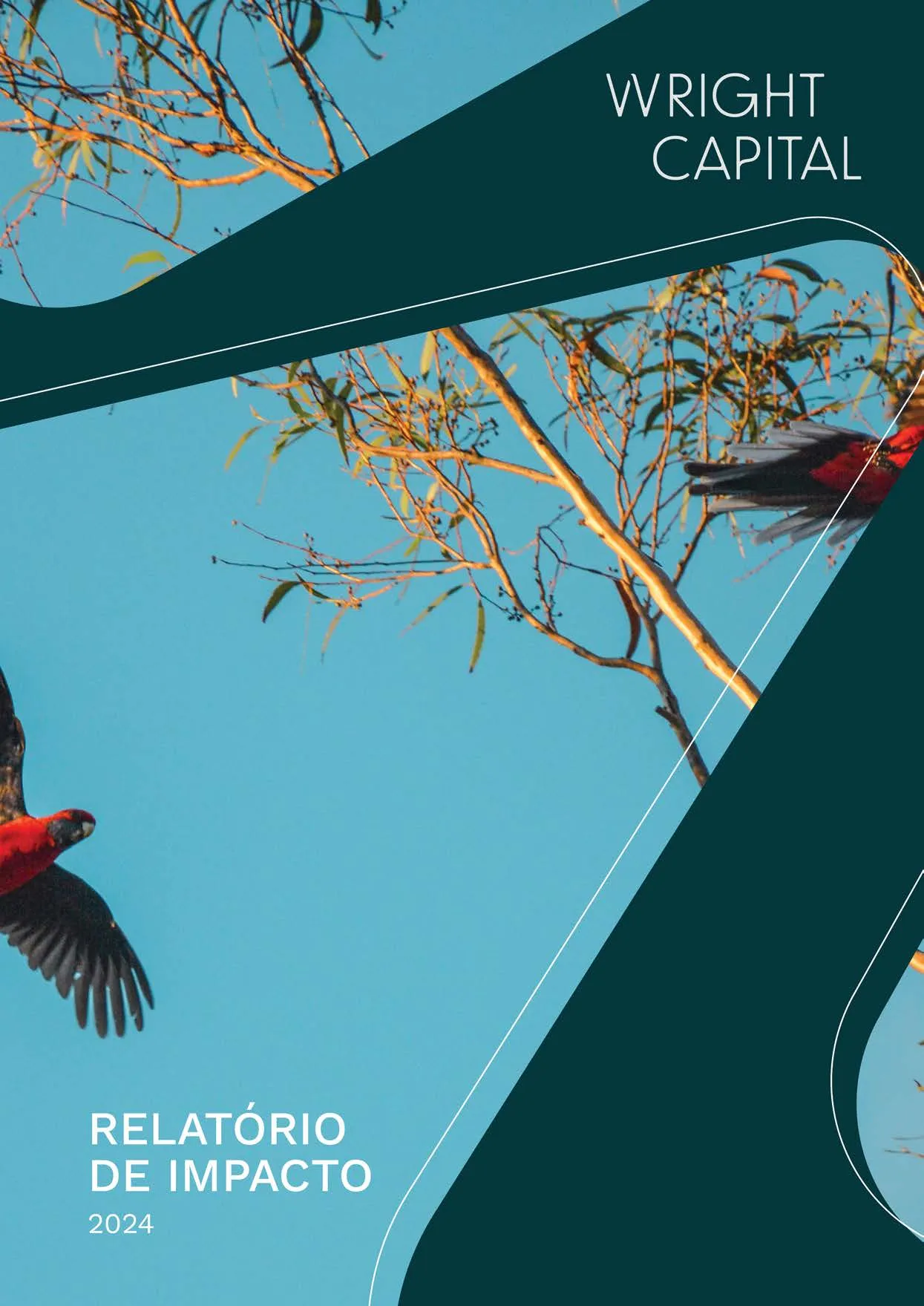 Capa do relatório de impacto socioambiental de 2024 da Wright Capital com fundo azul, galhos de árvore e pássaros vermelhos em voo.