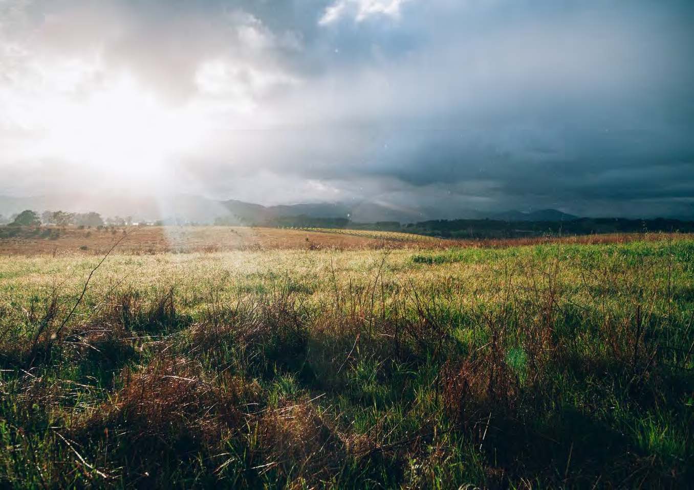 Open field with green and brown grass under cloudy skies with sun shining in the background.