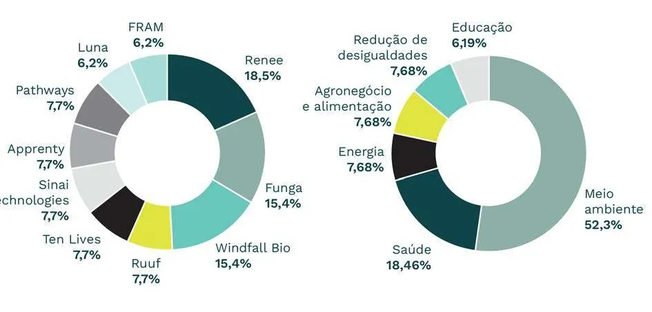 Dois gráficos de pizza: o da esquerda mostra a distribuição percentual entre empresas como Renee (18,5%), Funga (15,4%), Windfall Bio (15,4%), e outras; o da direita mostra a distribuição por áreas temáticas com Meio ambiente (52,3%), Saúde (18,46%), Energia, Agronegócio e alimentação, Redução de desigualdades (cada 7,68%) e Educação (6,19%).