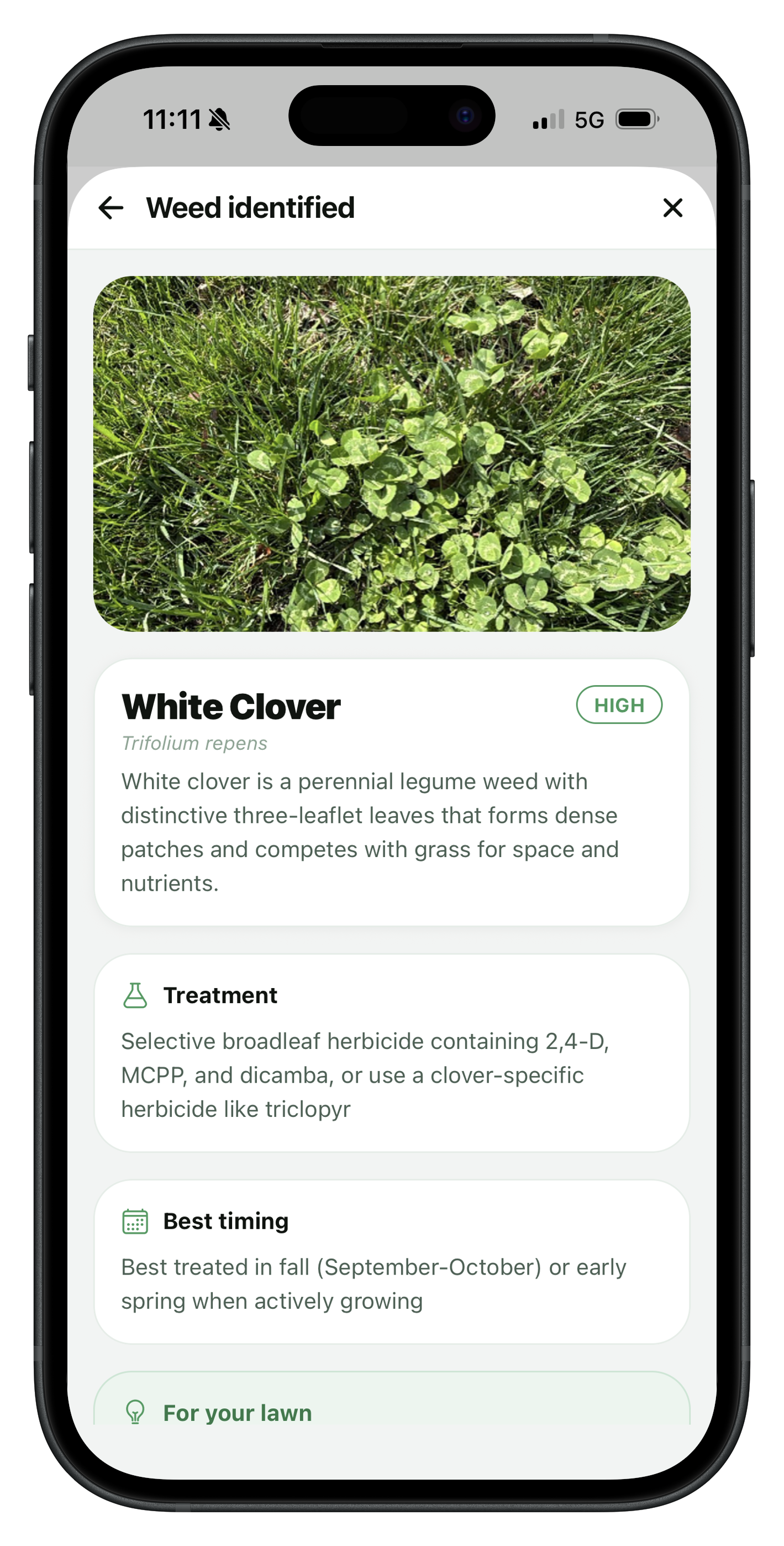 Turf weed ID results