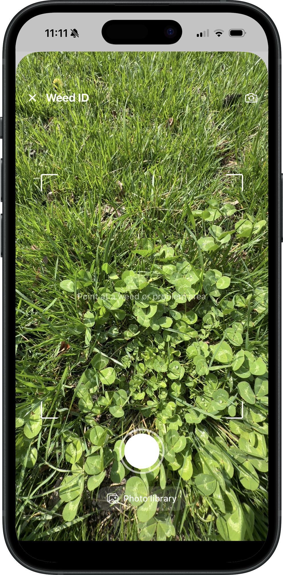 Turf weed ID camera