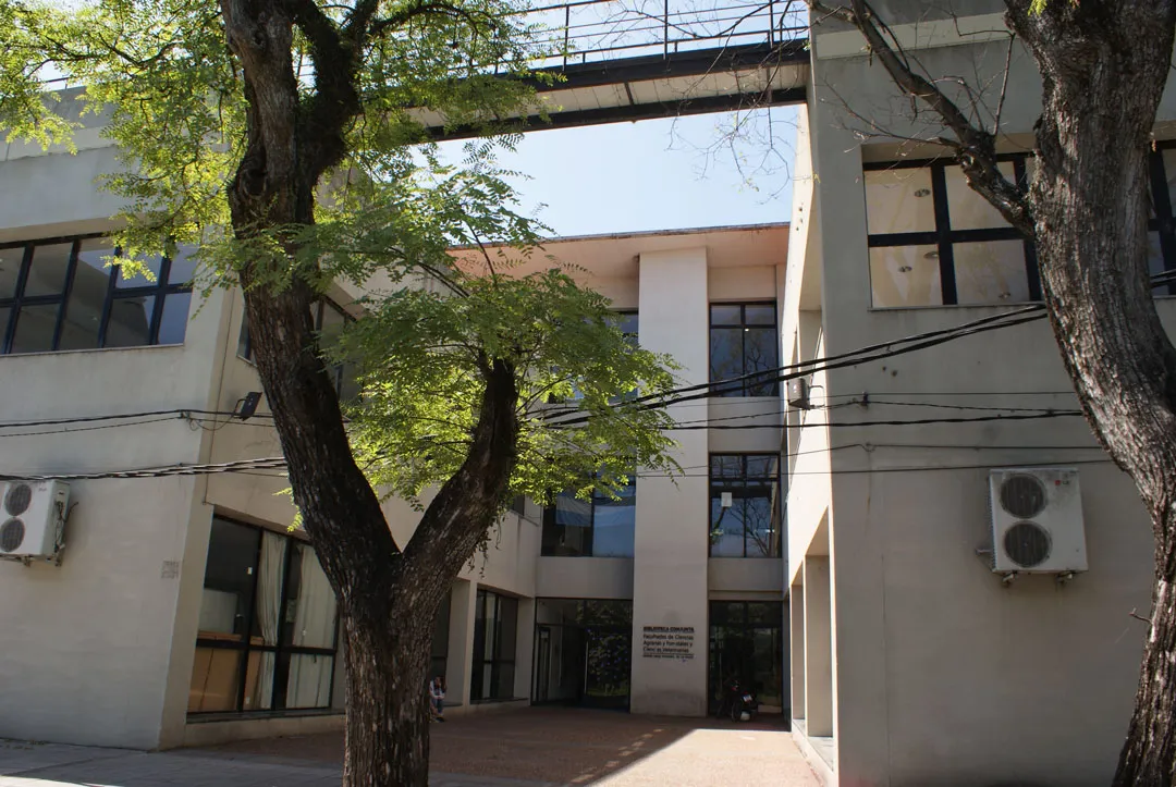 Biblioteca Dos Facultades