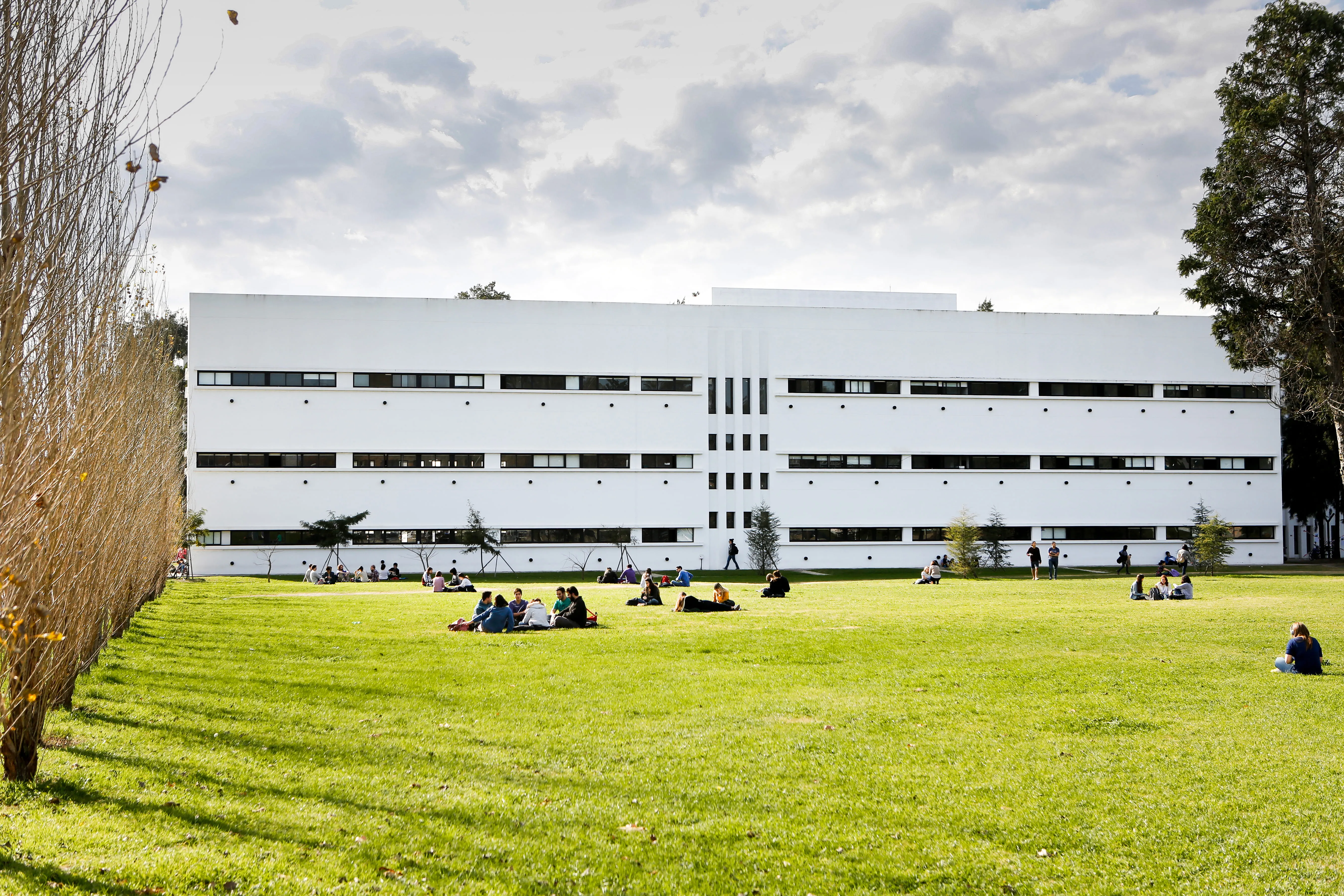 Facultad de Humanidades