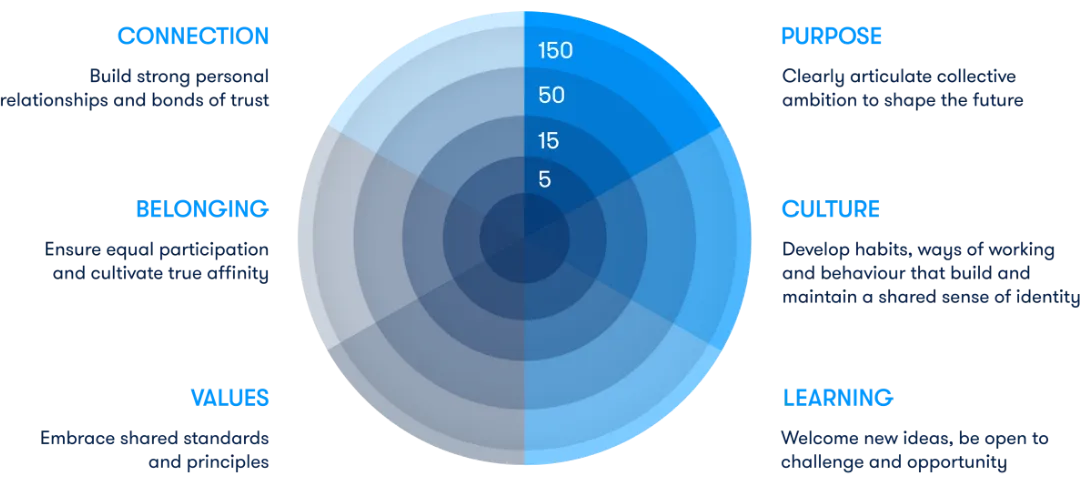 Circular chart illustrating thrive model with segments: Connection, Purpose, Belonging, Culture, Values, and Learning.
