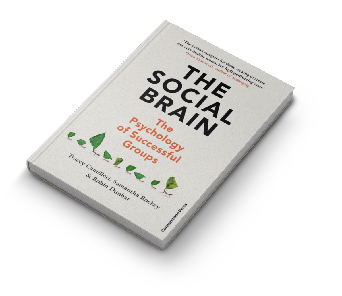 Book titled 'The Social Brain: The Psychology of Successful Groups' by Tracey Camilleri, Samantha Rockey, and Robin Dunbar.