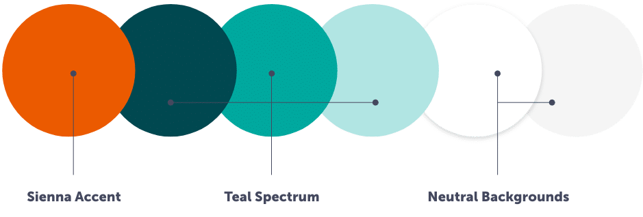 Launch color palette
