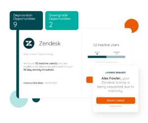 Zylo Discovery Insights