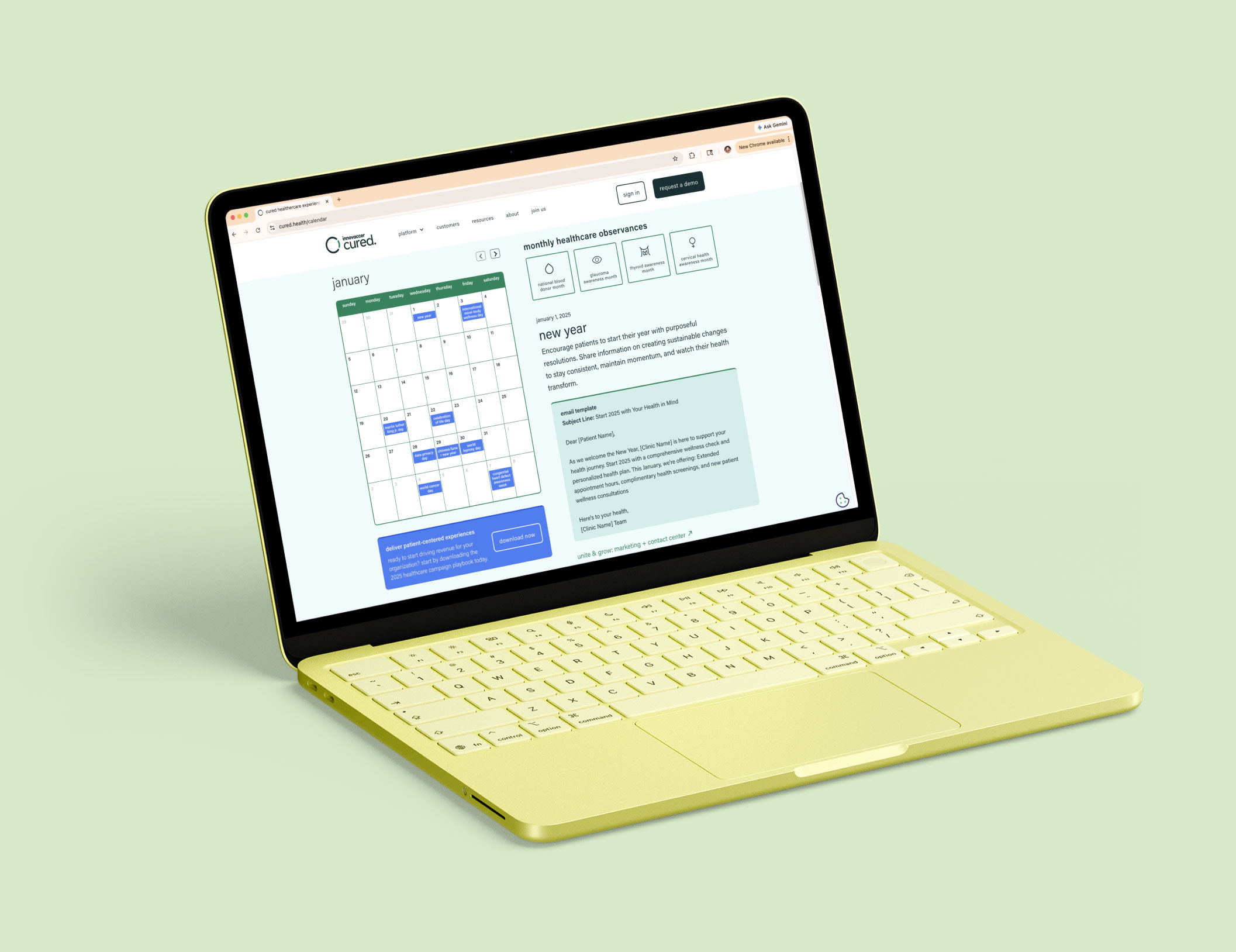 2025 healthcare calendar & campaign playbook 