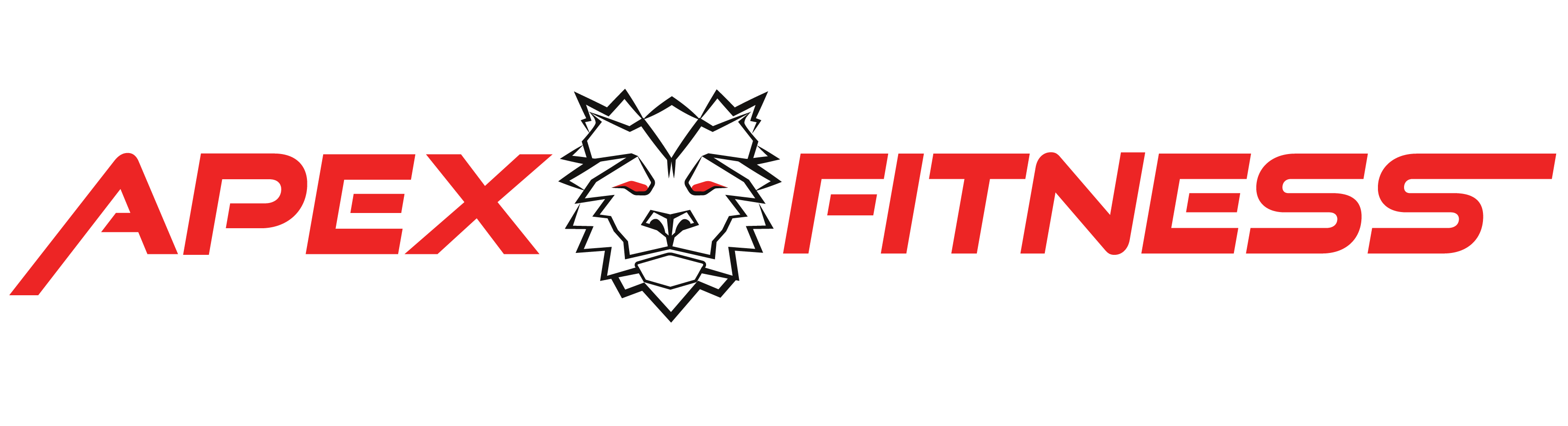 Apex Fitness