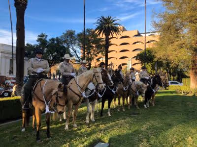 Riverside County Sheriff's deputies on horseback lined up in formation on a grassy area near a palm tree.