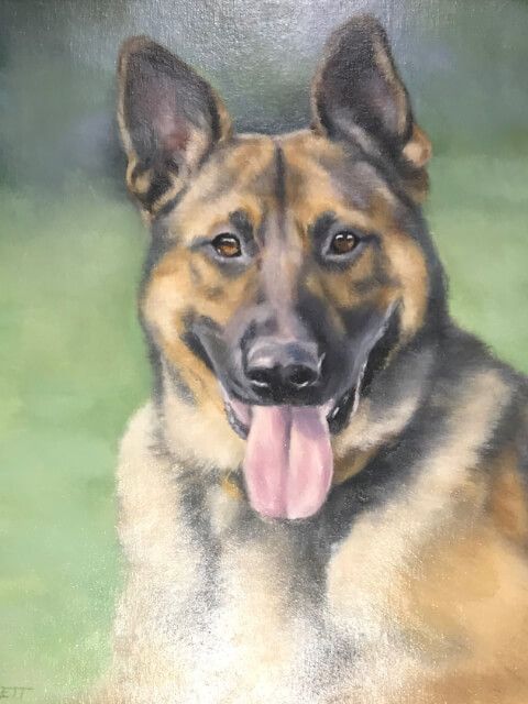 K-9 Sultan, End of Watch January 21, 2015, Riverside Sheriffs' Association